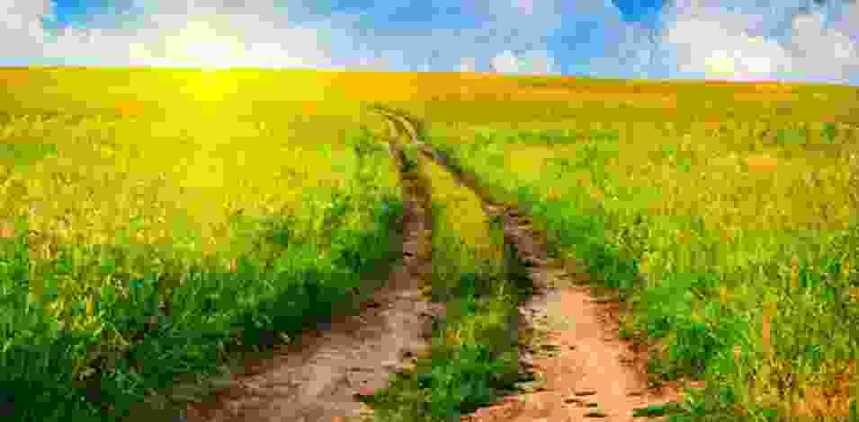 blog-img16 blog-img16